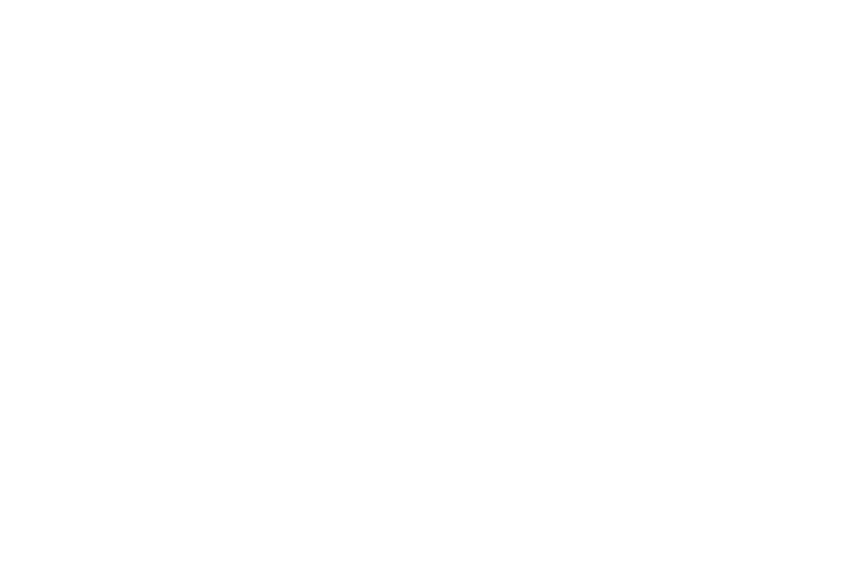 Crane logo